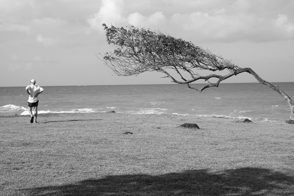 Photographe | Alain Le Chapelier | Art Trope Gallery